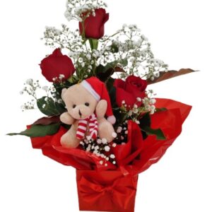 Arranjo Mimo de Natal