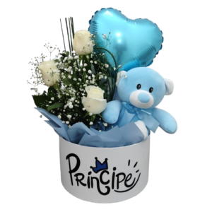 Box Maternidade Príncipe