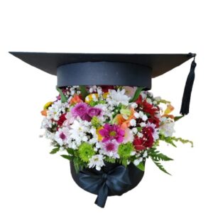 Box Graduation
